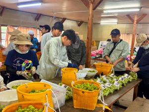 6月7日秋間梅林4