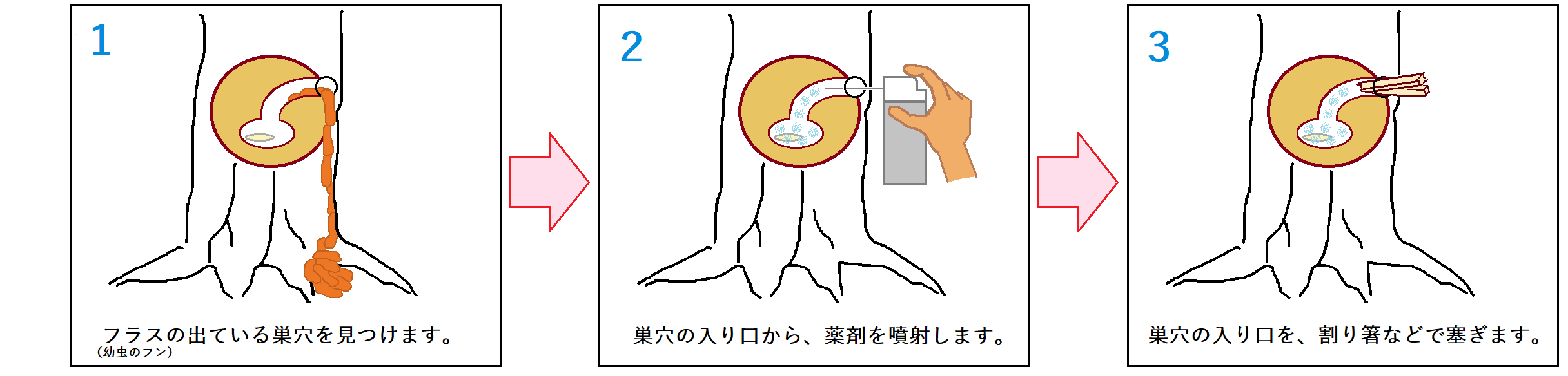 殺虫剤の使い方。ノズルを使って、巣穴の置くまで薬剤を散布したら、割り箸などで巣穴の入り口を塞ぎます。