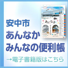 電子書籍版の画像