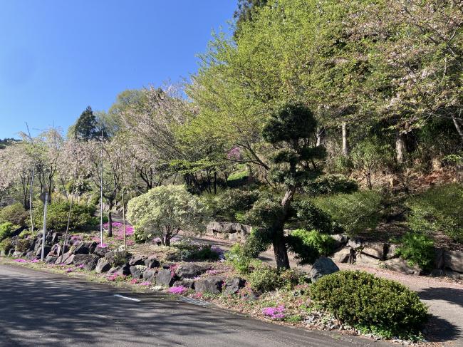秋間・長岩地区 風戸通り 春の庭の写真