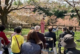 4月1日桜まつり3