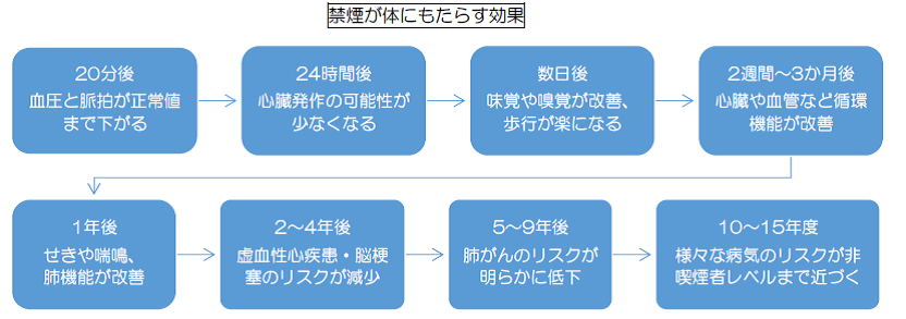 思い立ったそのときが、やめどきの画像