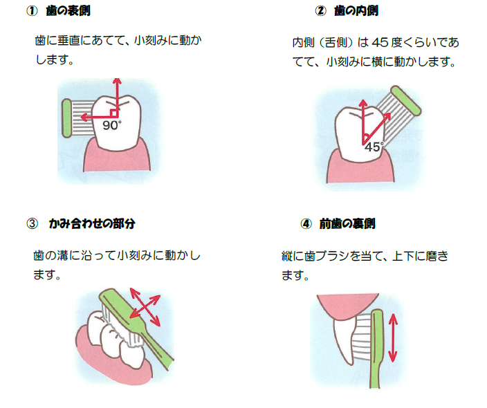 磨き方のコツの画像