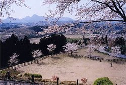 後閑城址公園の画像