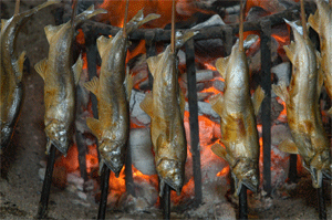 鮎の塩焼きの画像