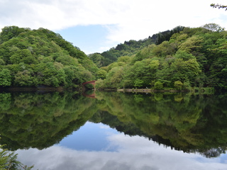 新緑の碓氷湖の画像