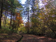 小根山森林公園の画像2