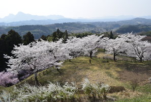 後閑城址公園から望む妙義山