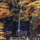 仙ケ滝の画像