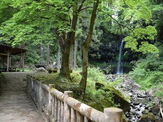 仙ケ滝の画像2