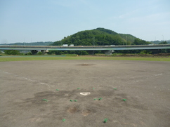 碓東緑地野球場の画像