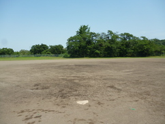 東横野グラウンドの画像