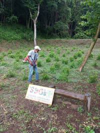 里山の草刈りの写真