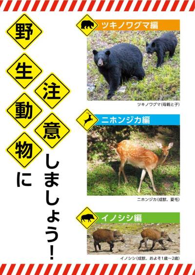 野生動物に注意してください