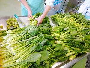 群馬県産の小松菜