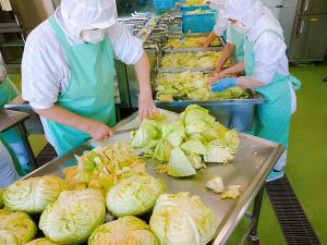 本日のキャベツは高崎市産