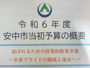 2月15日選ばれるための政策総動員予算.jpg