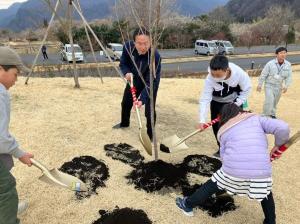 3月29日桜植樹.jpg