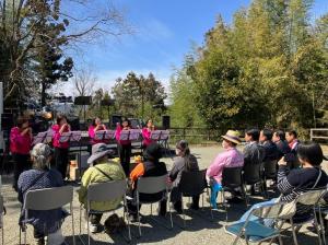 3月31日後閑城址公園桜まつり.jpg