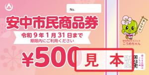 商品券見本