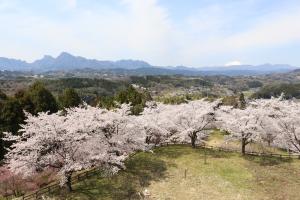 後閑城址