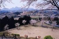 後閑城址公園の画像