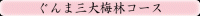 ぐんま三大梅林コース